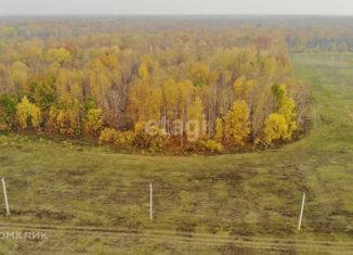 Продажа участка, 7 сот., село Горьковка, Сибирская улица