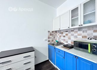 Сдается в аренду квартира студия, 24 м2, Санкт-Петербург, Железнодорожный проспект, 14к3, метро Ломоносовская