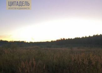 Продам дом, 50 м2, деревня Благодать, деревня Благодать, 2