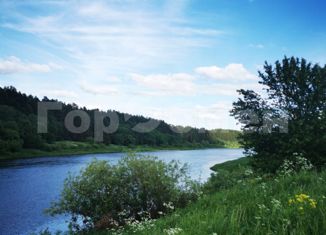 Продаю земельный участок, 100 сот., деревня Глинки, деревня Глинки, 14