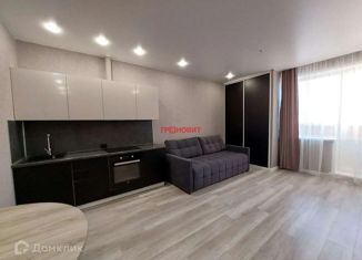 Продаю квартиру студию, 31 м2, Новосибирск, улица Михаила Кулагина, 29/1, ЖК Молодёжный