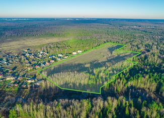 Продается земельный участок, 1156.91 сот., деревня Ломы, 24Н-137