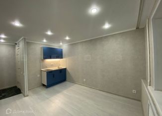 Продажа квартиры студии, 17.9 м2, Казань, улица Меховщиков, 7, Вахитовский район