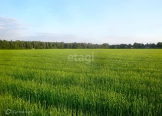 Продам участок, 1000 сот., Конское сельское поселение