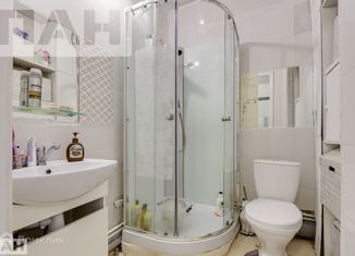 Продается квартира студия, 24.4 м2, Мурино, Ручьёвский проспект, 4/26, ЖК Авиатор