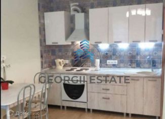 Сдача в аренду квартиры студии, 42 м2, посёлок Парголово, улица Николая Рубцова, 5к1