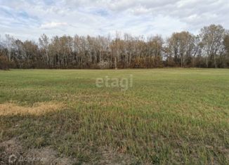 Продаю земельный участок, 200 сот., станица Старокорсунская, Красная улица