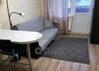 Квартира на продажу студия, 23 м2, посёлок Берёзовый, улица имени А.Н. Лодыгина, 3