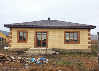 Продается дом, 100 м2, деревня Елкибаево, Деловая улица, 15В