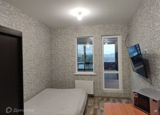 Продам квартиру студию, 24 м2, Санкт-Петербург, Земледельческая улица, 3, Земледельческая улица