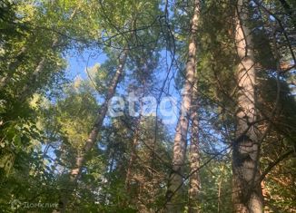 Продается участок, 35 сот., СНТ Боровое