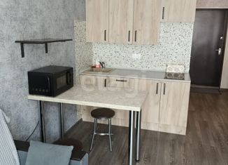 Квартира на продажу студия, 24 м2, Кемерово, улица Мичурина, 58к2, ЖК Мичуринская Аллея