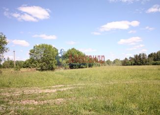 Участок на продажу, 443.14 сот., деревня Естомичи