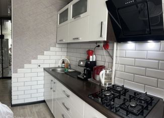 2-ком. квартира на продажу, 42.7 м2, Нижний Новгород, Львовская улица, 19, метро Автозаводская