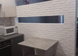 Продаю квартиру студию, 22 м2, Новосибирск, ЖК Матрёшкин Двор, улица Дмитрия Шмонина, 2