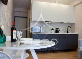 1-комнатная квартира на продажу, 24 м2, посёлок городского типа Дагомыс, Старошоссейная улица