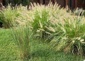 Участок на продажу, 5.5 сот., поселок Новый, Ореховая улица, 178