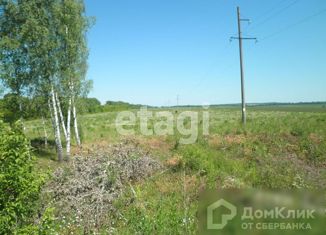 Продаю земельный участок, 19 сот., деревня Ледно