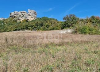 Продается участок, 86.63 сот., село Залесное, Советская улица