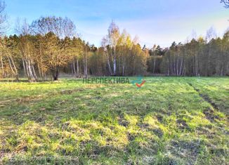 Продается участок, 10 сот., деревня Шопино, Центральная улица