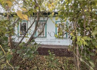 Продажа дома, 40.5 м2, село Орлик, Центральная улица