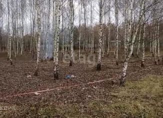 Продам земельный участок, 6.5 сот., садовое товарищество Земля, садовое товарищество Земля, 371