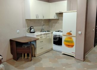 Сдача в аренду квартиры студии, 26.2 м2, Бердск, Первомайская улица, 129