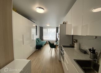 Квартира на продажу студия, 25.3 м2, Екатеринбург, улица Чкалова, 18, улица Чкалова