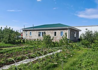 Дом на продажу, 136.2 м2, село Дружино, Успешная улица, 3