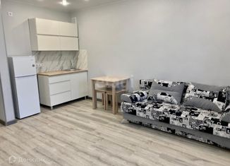 Сдается в аренду квартира студия, 25 м2, Амурская область, Европейская улица, 11