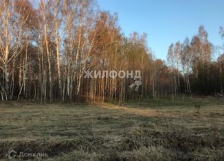 Продажа участка, 10 сот., село Барлак, Центральная улица