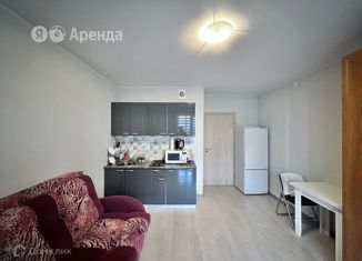 Аренда квартиры студии, 25 м2, Санкт-Петербург, улица Крыленко, 1к1с8