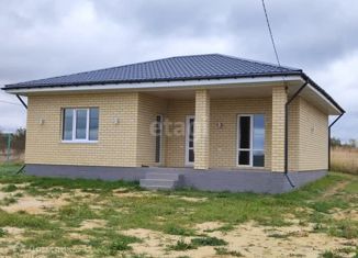 Продаю дом, 110 м2, село Новоживотинное, улица Автомобилистов