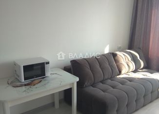 Продается 1-комнатная квартира, 30 м2, Санкт-Петербург, Муринская дорога, 10к1