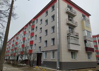Продажа 1-комнатной квартиры, 31.2 м2, посёлок городского типа имени Морозова, улица Хесина, 18