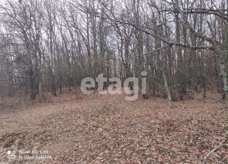 Продажа земельного участка, 100 сот., посёлок городского типа Куйбышево, улица Ленина, 19А