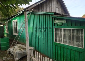 Продаю дом, 49 м2, село Зелёный Бор, улица Калинина, 3
