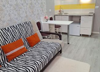 Продам квартиру студию, 19.4 м2, Краснодар, Тепличная улица, 62/1к3, Тепличная улица