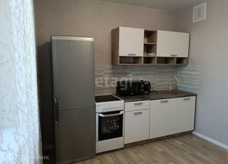 Аренда 1-комнатной квартиры, 39 м2, Новосибирская область, микрорайон Околица, 3