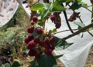 Продается земельный участок, 4 сот., Саратов, Волжский район, Революционная улица