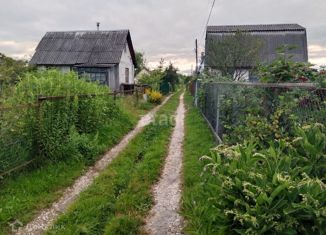 Продаю дом, 26 м2, посёлок Новые Дарковичи, Весенняя улица