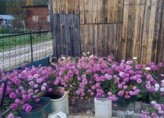 Продается дом, 35 м2, ДНТ Звёздочка, Садовая улица, 91