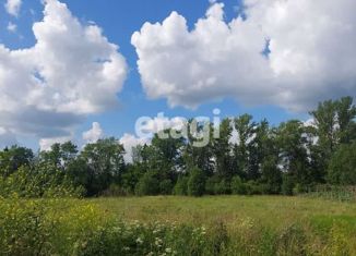 Продается земельный участок, 15 сот., деревня Парицы