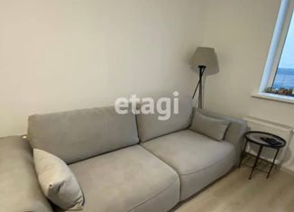 Продам однокомнатную квартиру, 33.2 м2, Санкт-Петербург, Парашютная улица, 42к1, ЖК Граффити