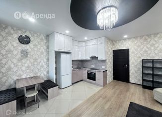 Квартира в аренду студия, 40 м2, Санкт-Петербург, проспект Ветеранов, 171к5, Красносельский район