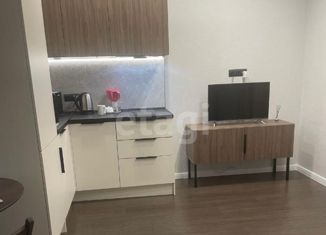 Квартира в аренду студия, 27.3 м2, Новосибирск, Ядринцевская улица, 71, метро Маршала Покрышкина