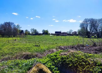 Участок на продажу, 12 сот., деревня Захонье, деревня Захонье, 19