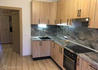 Аренда 2-ком. квартиры, 50 м2, Мурино, Петровский бульвар, 14к2, ЖК Краски Лета