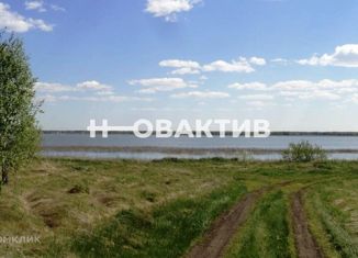 Продажа земельного участка, 660 сот., село Иткуль, Комсомольская улица, 49