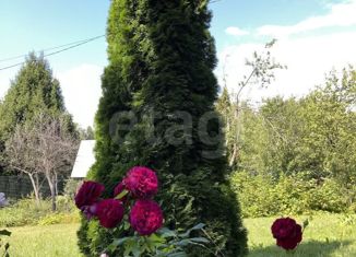 Продажа участка, 6 сот., садовое товарищество Парус, садовое товарищество Парус, 71